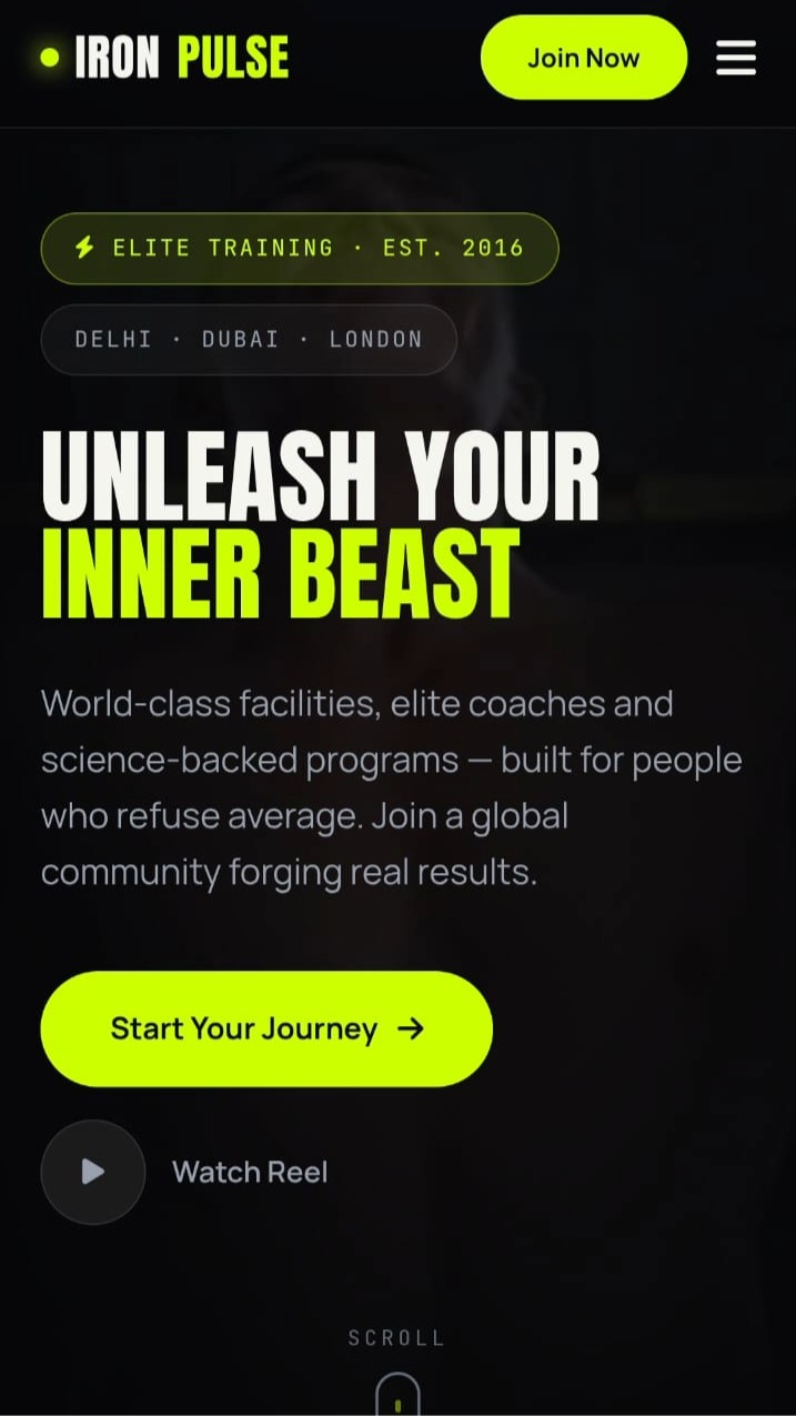 IronPulse Fitness